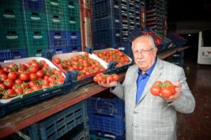 Halde domatesin fiyatı düştü, limonun fiyatı arttı