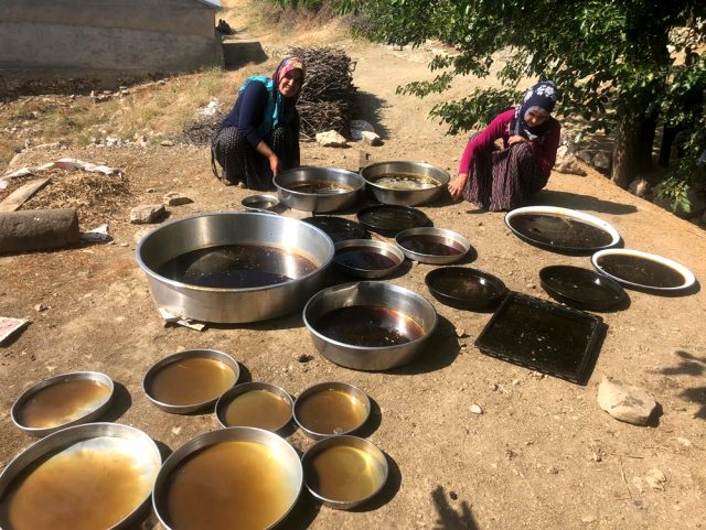 Dutun pekmeze dönüşen tatlı yolculuğu başladı