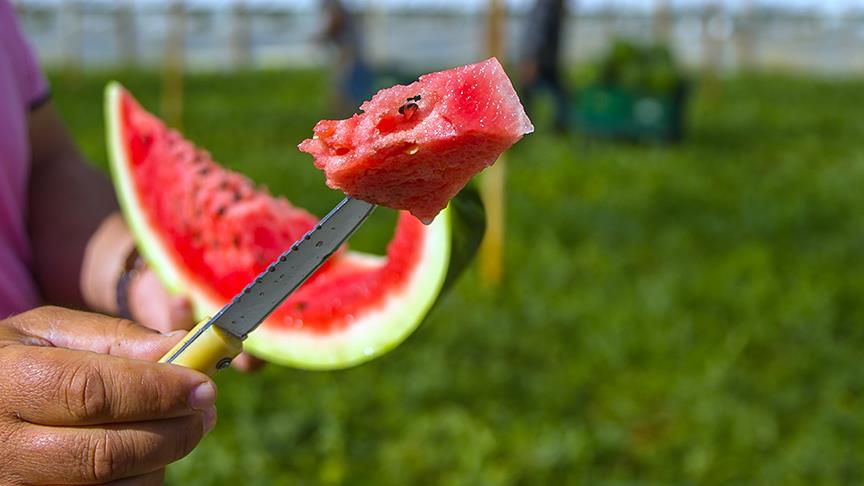 Serin hava karpuzun fiyatını düşürdü