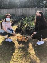 ÇÜ öğrencileri Organik Viyoller yetiştiriyor