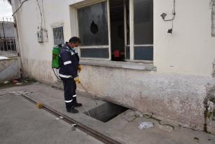 CEYHAN’DA SİNEKLE MÜCADELE ÇALIŞMALARI BAŞLADI