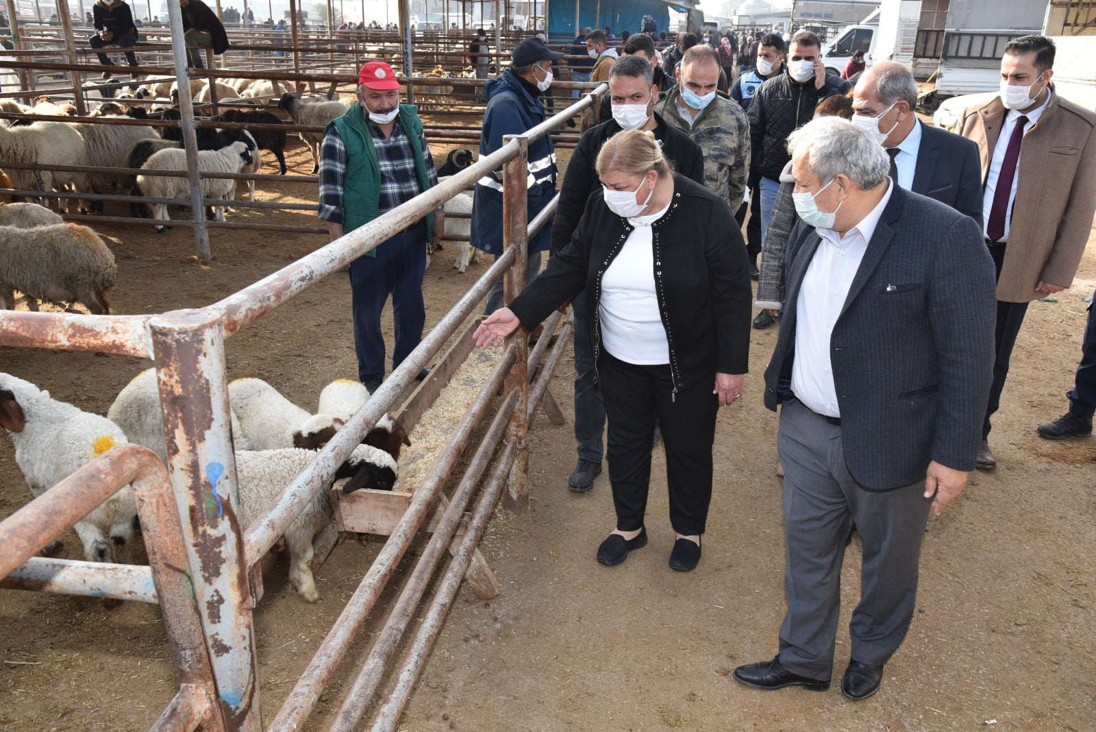 BAŞKAN ERDEM’DEN HAYVAN PAZARI’NA ZİYARET