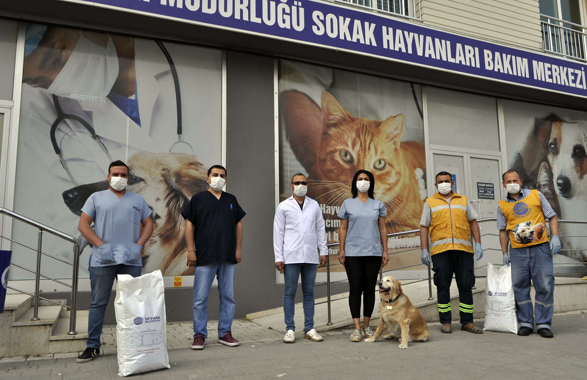 SEYHAN’DA SOKAK CANLILARI DA YALNIZ DEĞİL!