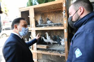SARIÇAM BELEDİYESİ’NDEN EV HAYVANLARI SERTİFİKALI EĞİTİM PROGRAMI