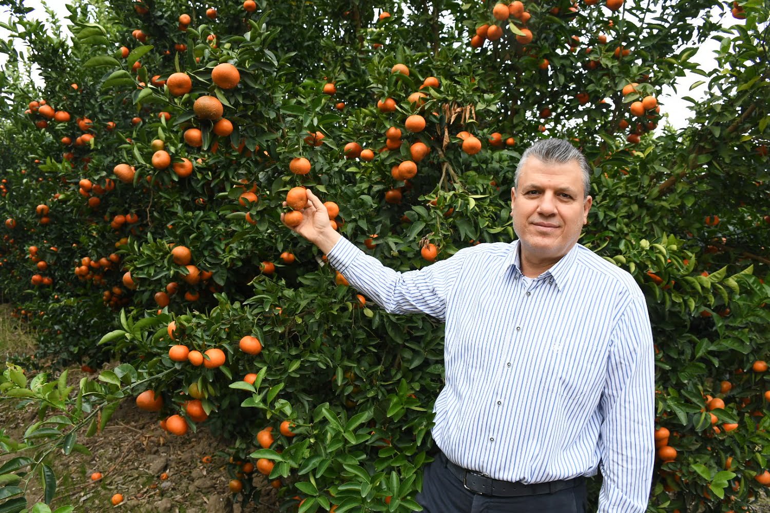 “İhracat kısıtı tarihi yanlıştır”