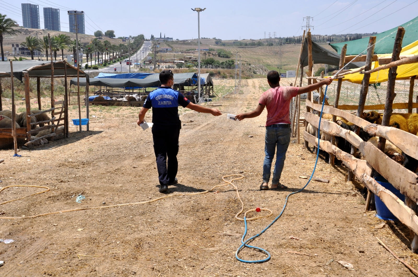 Çukurova’da kurban satış ve kesim yerleri belirlendi