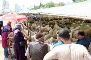 Kurban Kesim Yerlerinde uygun şartlarda yaklaşık 4 bin kesim yapıldı