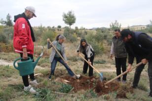 Çukurova Üniversitesi Kozan MYO Tarafından Fidan Dikimi Yapıldı