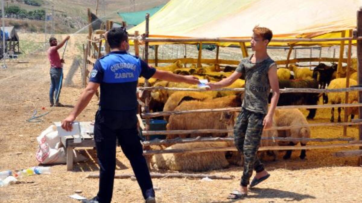 Çukurova’da Kurban satış yerleri belirlendi