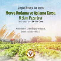 YÜREĞİR BELEDİYESİ’NDEN BUDAMA VE AŞILAMA KURSU