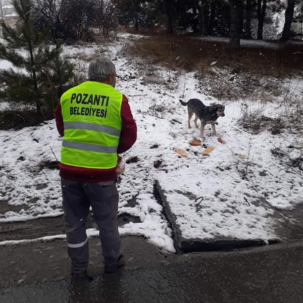 Pozantı Belediyesi Sokak Hayvanlarını Unutmadı