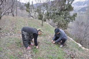 Dağlarda Üretim Devrimi Yapan Kadın