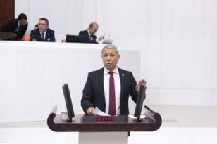 YANDAŞ ZENGİNLİĞİNİ KATLASIN DİYE 4000 AĞAÇ KESİLECEK ORMAN ALANI YOK EDİLECEK