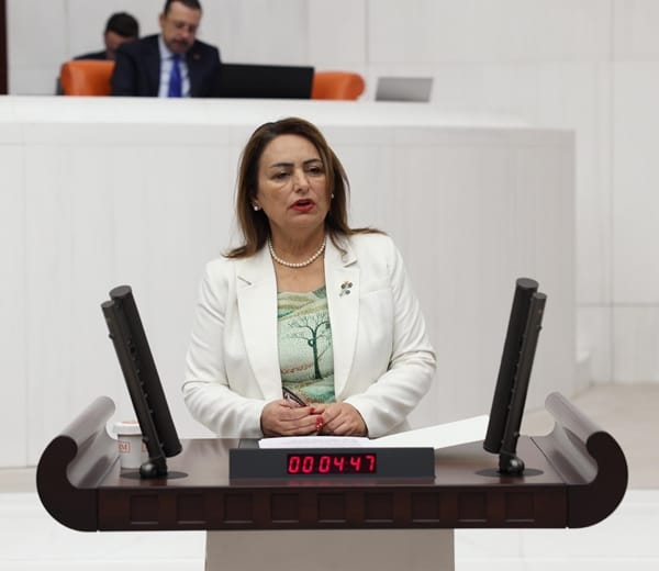 “AKP, İklim Kanunu ile güçlü şirketleri önceliyor”