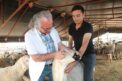 YÜREĞİR’DE ZABITADAN BAYRAM ÖNCESİ SIKI DENETİM