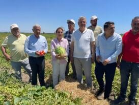“Kendi ülkemizde sahipsiz ve yetim kaldık”