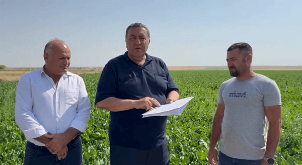 GÜRER: “PANCARI STRATEJİK ÜRÜN, ALIM FİYATI AÇIKLANMALIDIR”