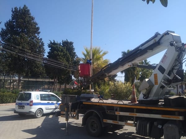 Yumurtalık, her adımda tertemiz