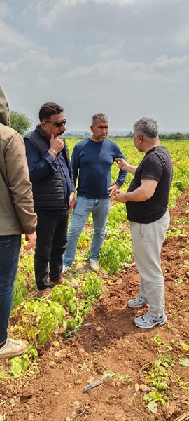 Adana Tarımında Kriz Çanları: Üretici Marketlerin İnsafına mı Terk Edildi?